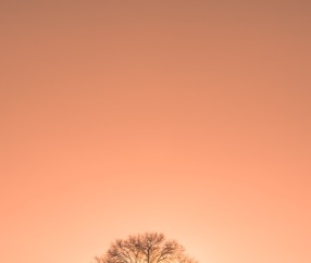 包含合肥做供卵试管婴儿私立医院排名，附2024供卵试管生男孩前十医院名单！的词条